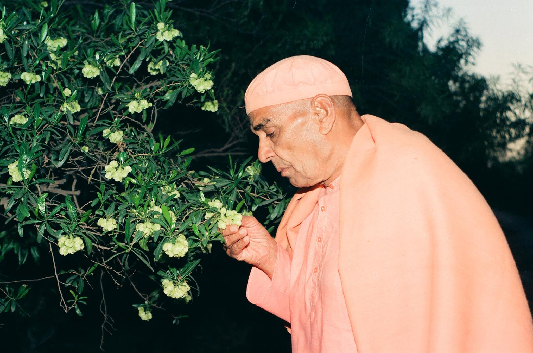 Nakur Wale Baba Ji — sacred moment at the Nakur ashram